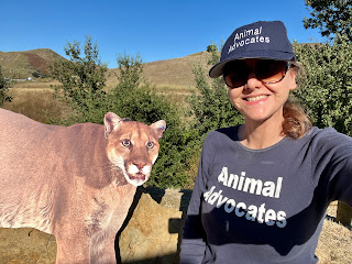 mary cummins, animal advocates, wildlife crossing, wallis annenberg wildlife crossing, docent tour, hike, los angeles, california, animaladvocates.us, marycummins.com, nwf,cougar conservancy, national wildlife federation