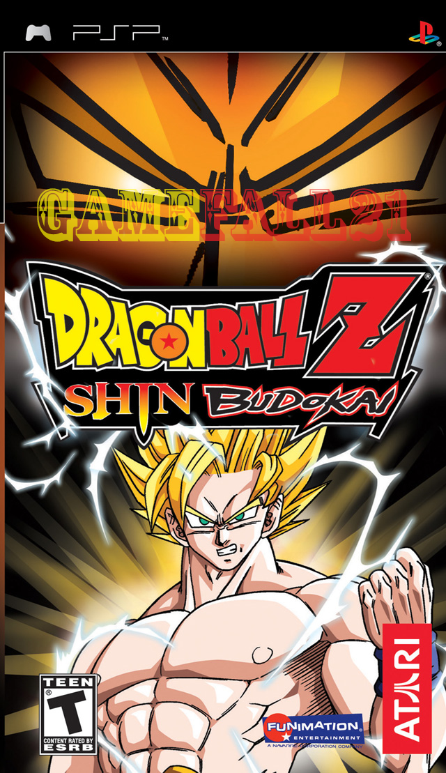 Dragon Ball Z: Shin Budokai (PSP)