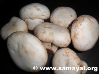 படம்