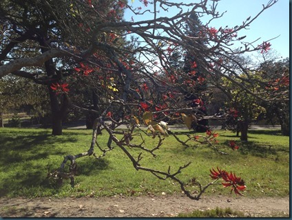 photo (6)