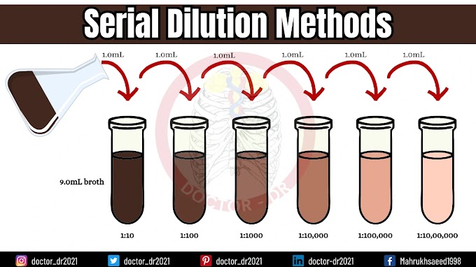 Serial Dilution Methods: Understanding How to Estimate Cell Concentration in Cultures