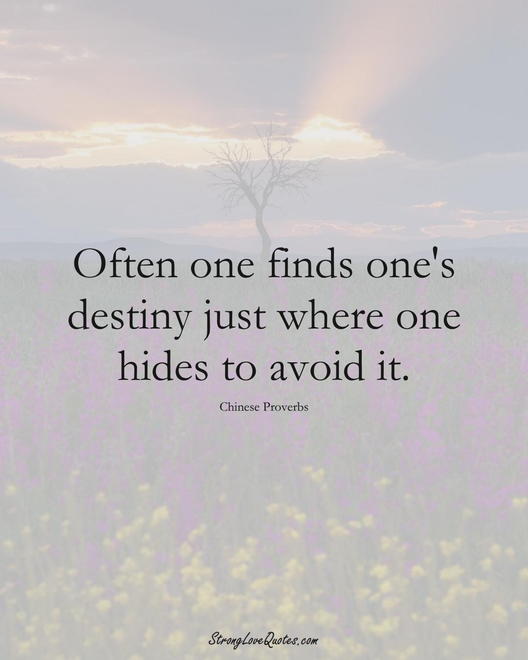 Often one finds one's destiny just where one hides to avoid it. (Chinese Sayings);  #AsianSayings