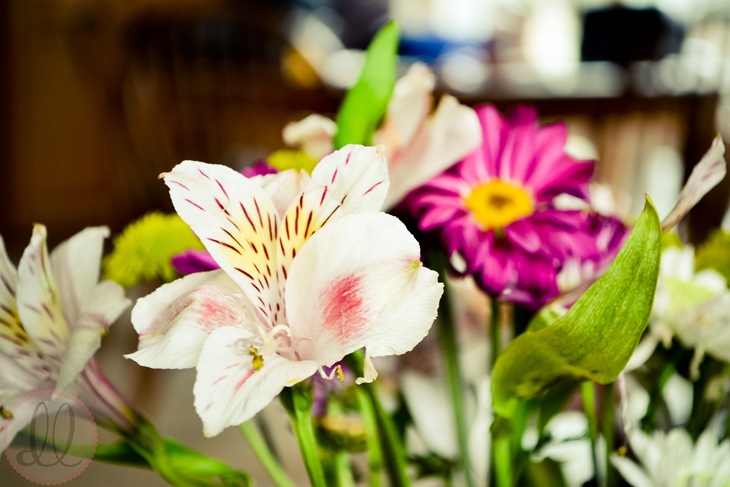 DSC_1247edit-2
