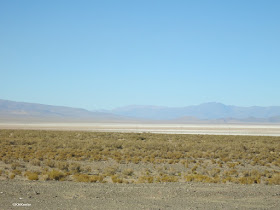 Altiplano in Chile