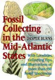 Fossil Hunting in the Mid-Atlantic States by Jasper Burns