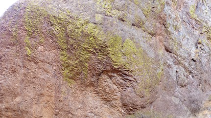 P1010801