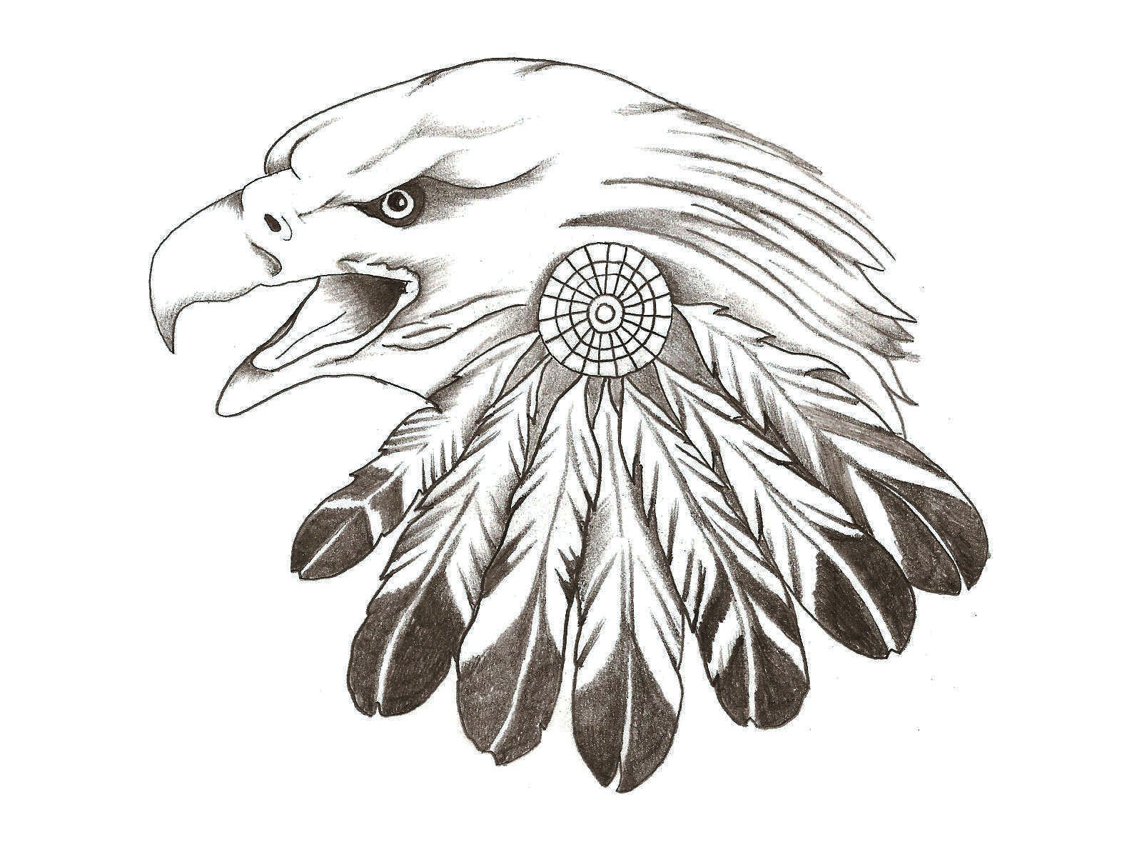 tatto: Eagle Feather Tattoo