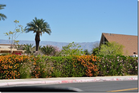 Living Desert, Ca 134