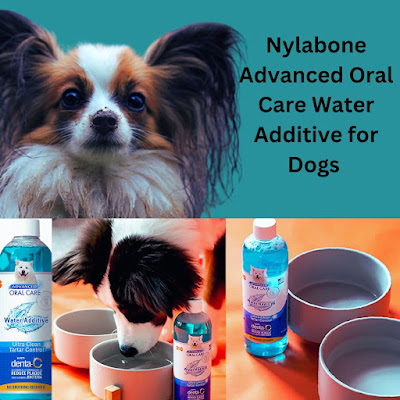 Which water additives are best for dog dental health , Nylabone Advanced Oral Care Water Additive for Dogs