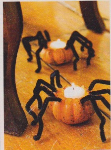 Gourd/pipe cleaner Spider for Halloween