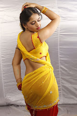 Anushka Shetty Hot Saree Photos