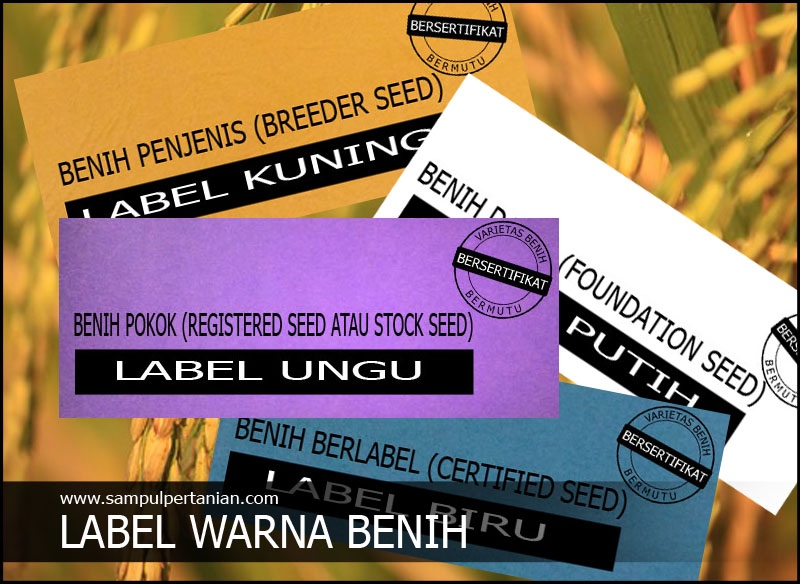 Arti warna  label benih padi  bersertifikat Label Kuning 