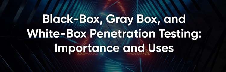 Black-Box, Gray Box, and White-Box Penetration Testing: Importance and Uses