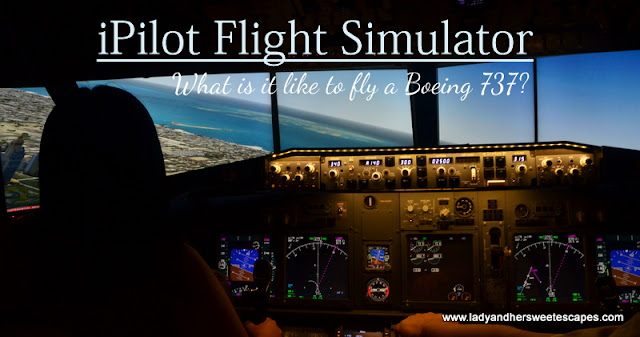 iPilot Dubai Flight Simulator