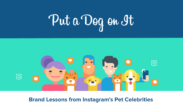 [Infographic] Is Cute Marketing Effective Marketing? Brand Lessons from Pet Celebrities