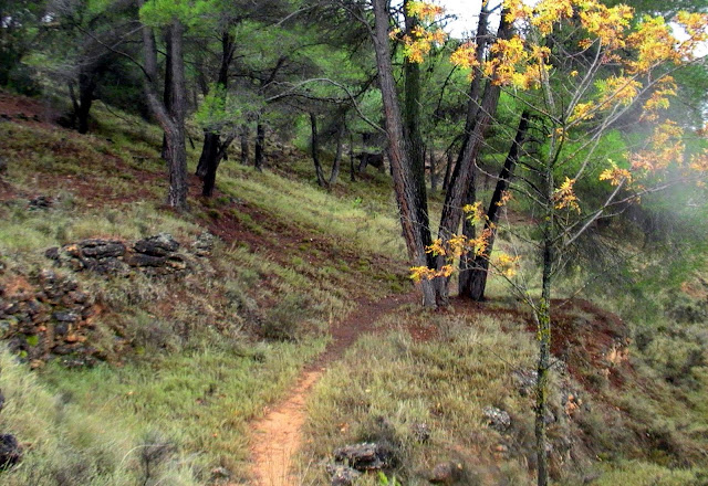 sendero-torrebaja-valencia-españa