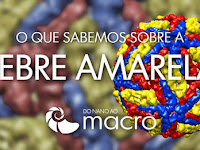 Estrutura Do Virus Da Febre Amarela