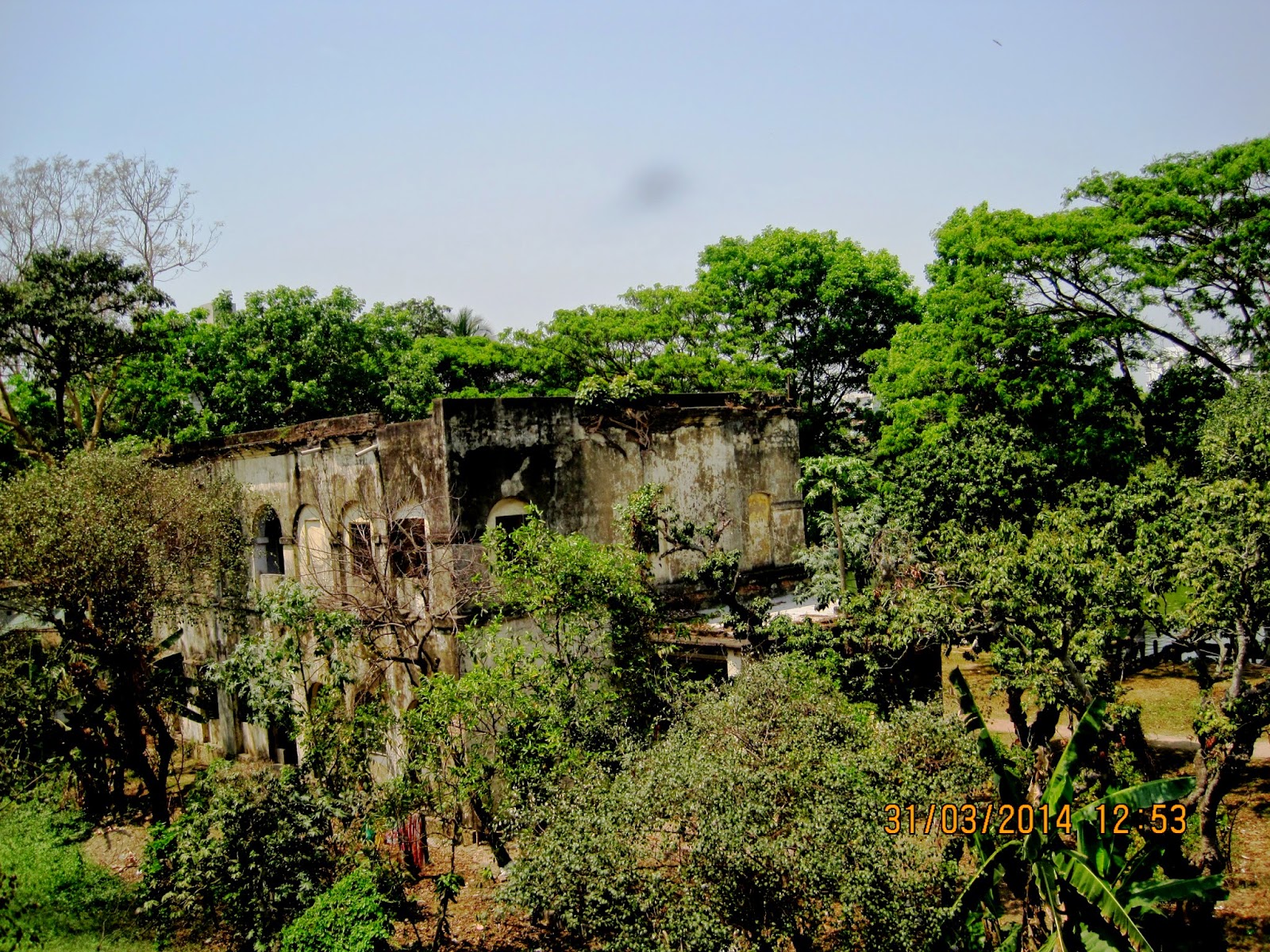 Free HD Nature Picture in Bangladesh