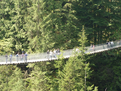 Capilano Suspention Bridge - view from Cliffwalk