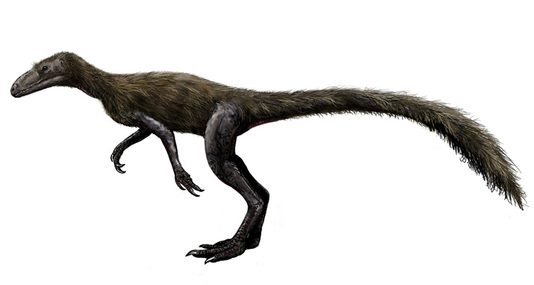 Marasuchus. (que significa "cocodrilo Mara") es un género de arcosaurio dinosauriforme basal que posiblemente sea sinónimo de Lagosuchus. Ambos géneros vivieron durante el Triásico Tardío en lo que hoy es la Provincia de La Rioja, Argentina. Marasuchus contiene una sola especie, Marasuchus lilloensis.