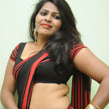 Sitara Hot Photos in Saree at Gundello Guchi Guchi Champake Movie Press Meet 11 