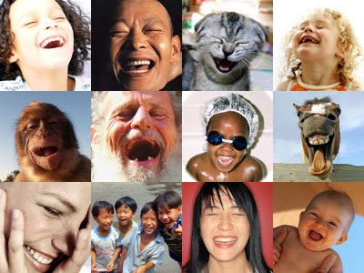 quotes on happiness and laughter