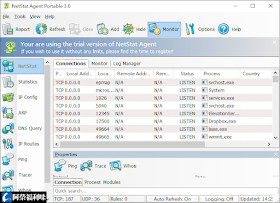 NetStat Agent