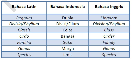 Urutan Takson atau Taksonomi pada Makhluk Hidup