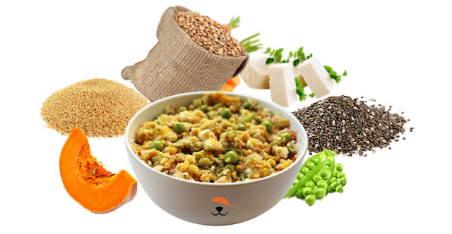 home cooked dog food online in Delhi.
