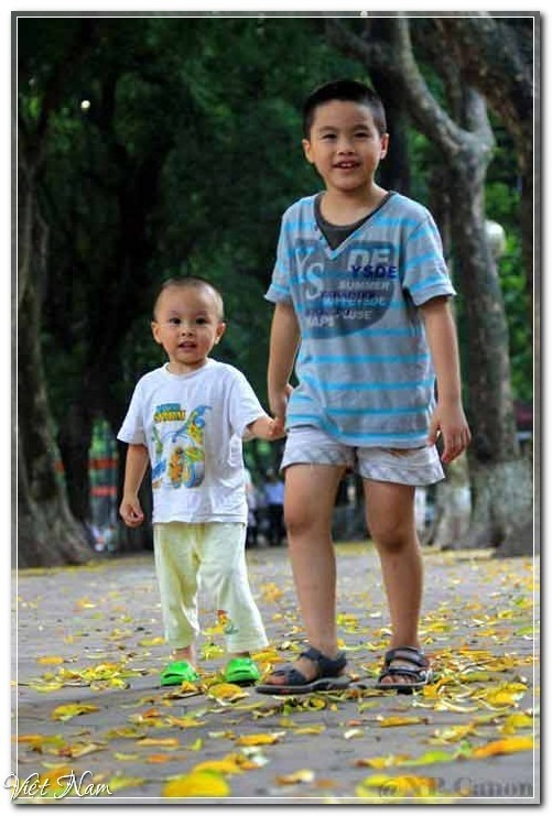 Hà Nội mùa lá vàng trải thảm, Việt Nam