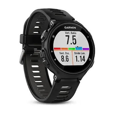 GARMIN Forerunner 735XT Image