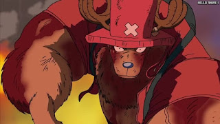 ワンピース アニメ エニエスロビー編 290話 チョッパー Tony Tony Chopper | ONE PIECE Episode 290 Enies Lobby