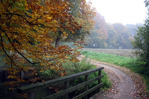 Achterhoek herfst