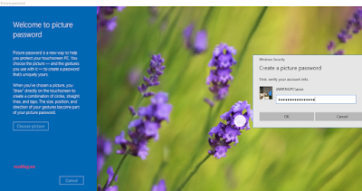 windows picture pasword