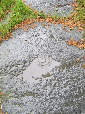 Schönheit, Regen, Bodenseeforum, Bodensee, 