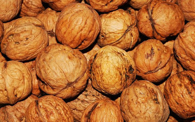 Walnut, nuts, walnuts, seeds
