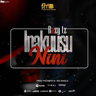 Razy Tz - Inakuusu Nini Mp3 Download Audio