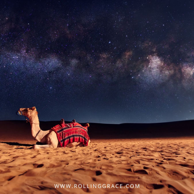 camel ride in dubai