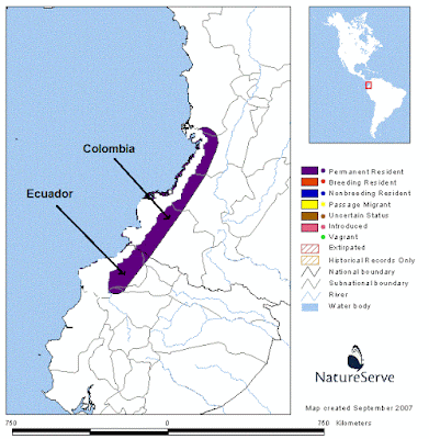 Neomorphus radiolosus map