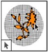path selection tools
