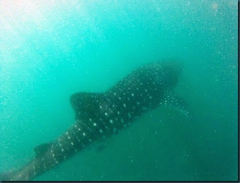 DCIM\102GOPRO