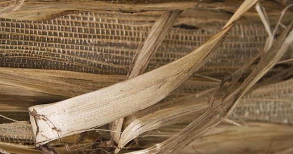 Membuat Kerajinan  Tangan dari Pelepah  Pisang  Ragam 