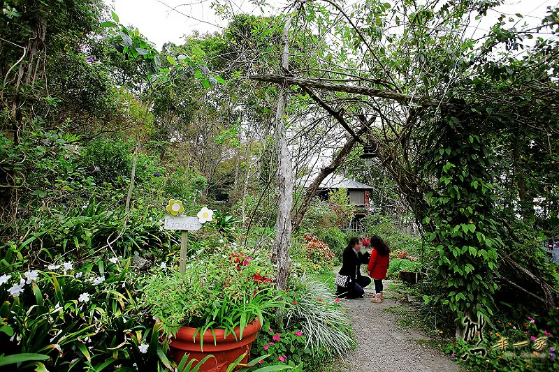 新竹尖石6號花園景觀餐廳