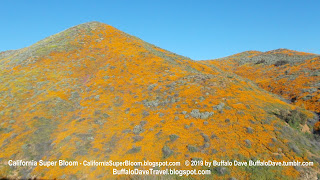 Mountain covered with California Poppies Walker Canyon Super Bloom 2019