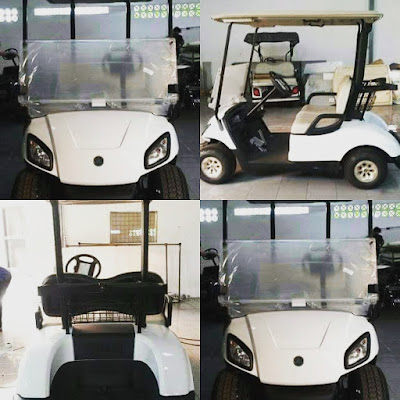  HARGA  MOBIL  GOLF LISTRIK  BARU BEKAS  DI INDONESIA