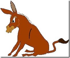 burrobravo