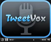 tweetvox-logo