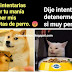 Memes: Cheems Doge gato rubia.