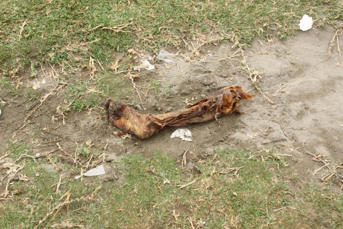 ENCUENTRAN PARTE DE UNA PIERNA HUMANA TOTALMENTE CALCINADA EN LA PLAYA CHORRILLOS