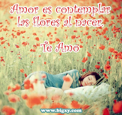 24 imágenes de amor (corazones, flores y mensajes)